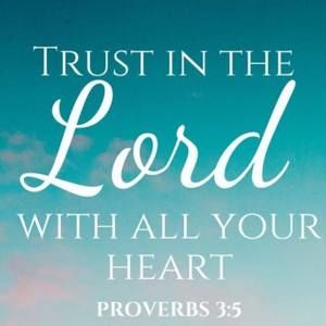 Meet your Posher, Donald